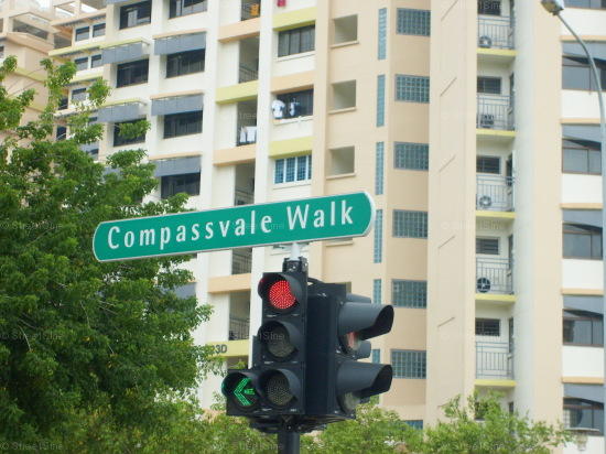Blk 233A Compassvale Walk (S)541233 #93712